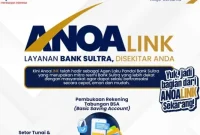 Anoalink